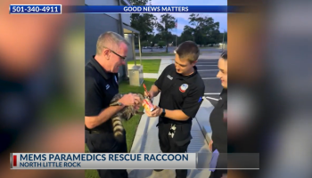 Dynamic Content Image